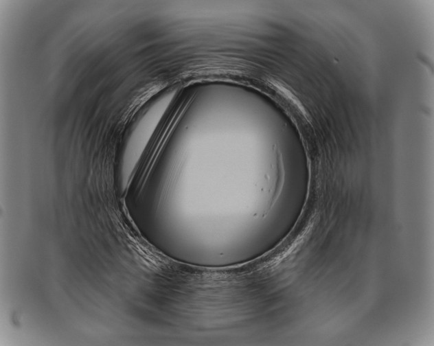 X0000096470777200802211149