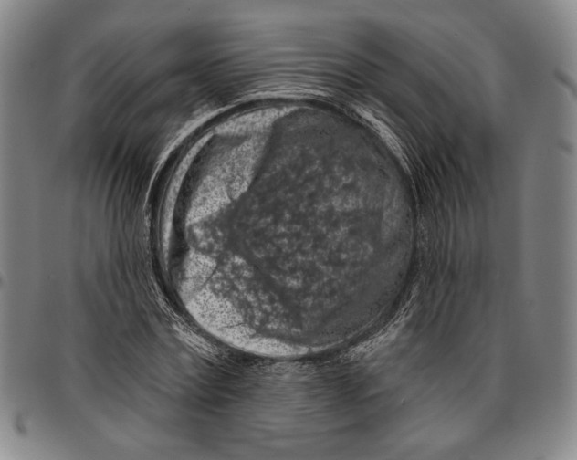 X0000096470779200802211149