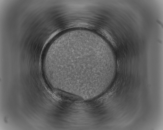 X0000096470780200802211149