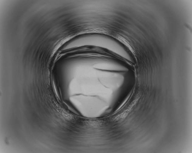 X0000096470781200802211149