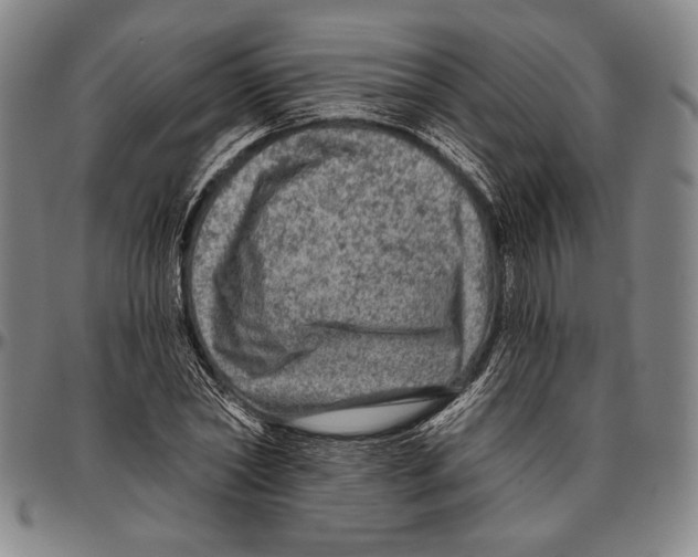 X0000096470782200802211149