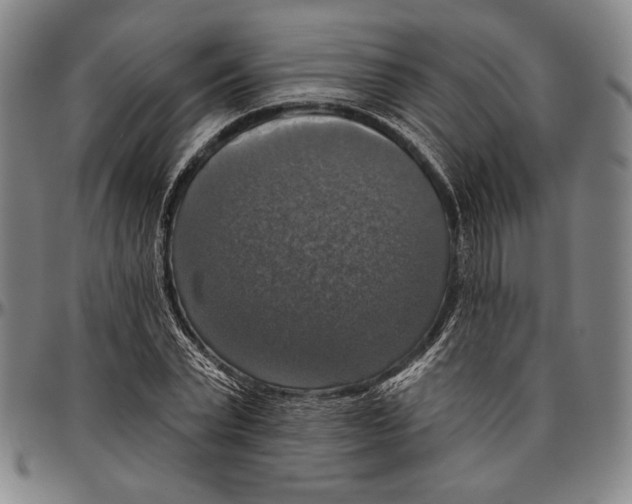 X0000096470783200802211149