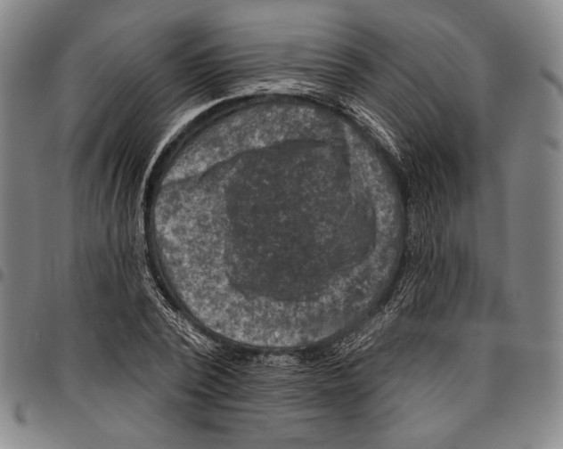 X0000096470784200802211149