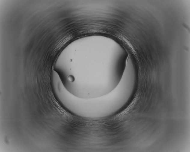 X0000096470785200802211149