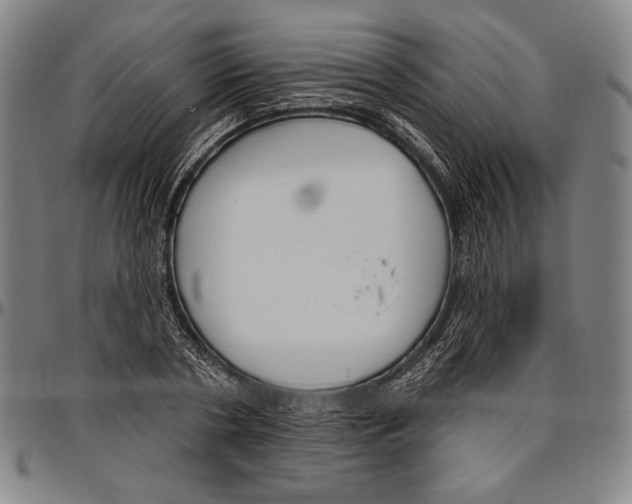 X0000096470786200802211149