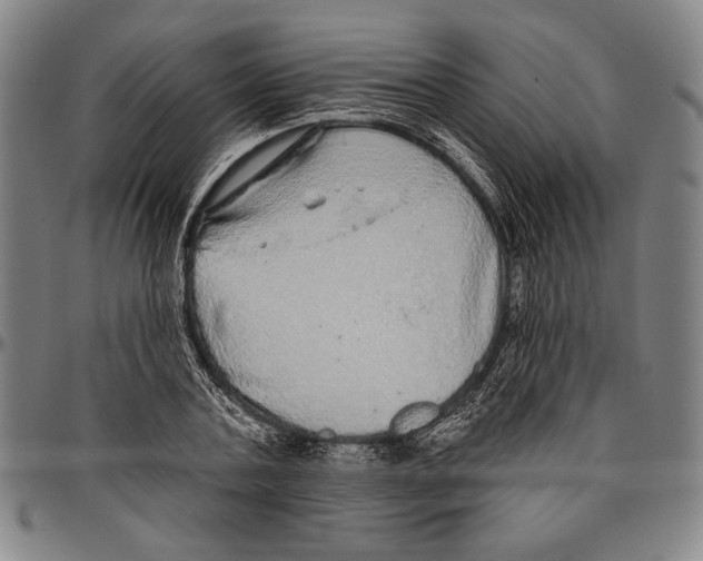 X0000096470787200802211149