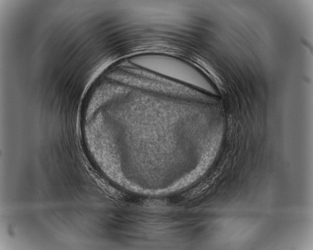 X0000096470788200802211149