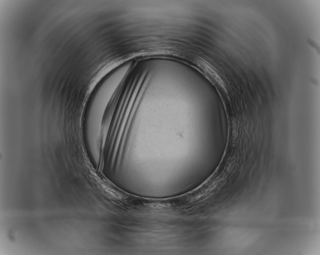 X0000096470789200802211149