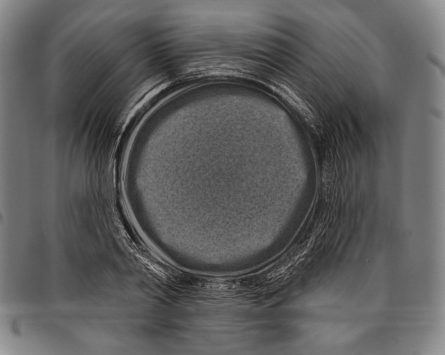 X0000096470790200802211149