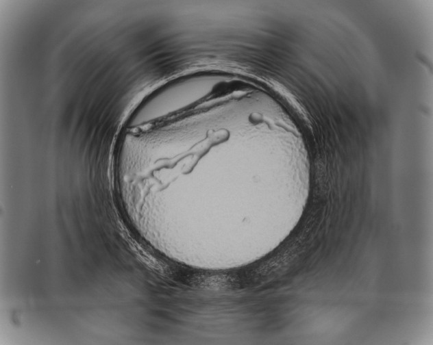 X0000096470791200802211149