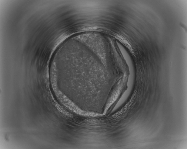 X0000096470792200802211149