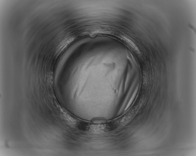 X0000096470793200802211149