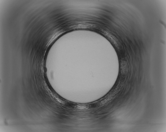 X0000096470794200802211149