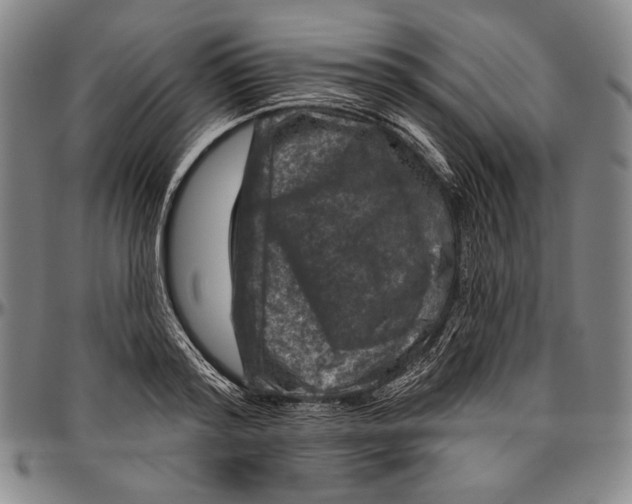 X0000096470796200802211149