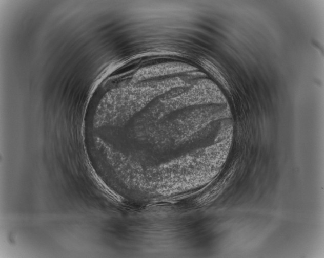 X0000096470797200802211149