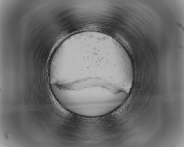 X0000096470800200802211149