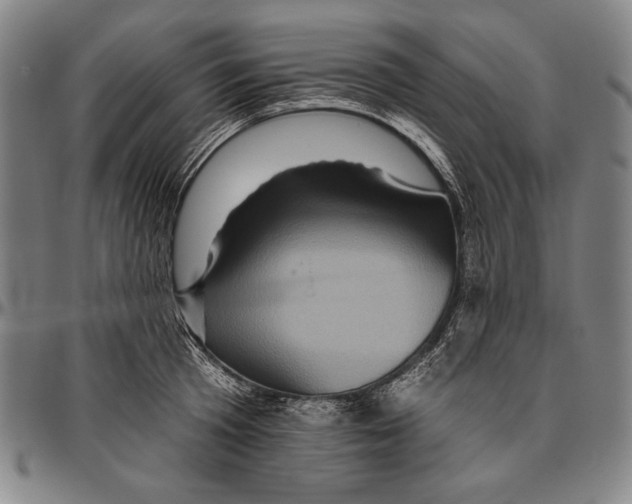 X0000096470801200802211149