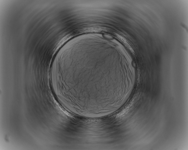 X0000096470802200802211149