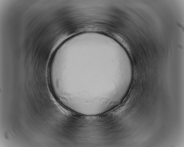 X0000096470803200802211149