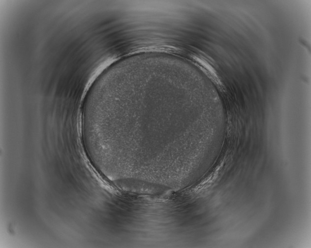 X0000096470804200802211149