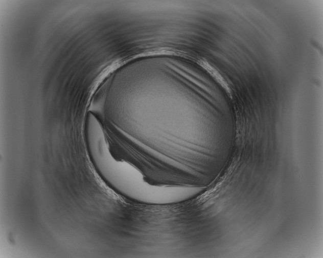 X0000096470805200802211149