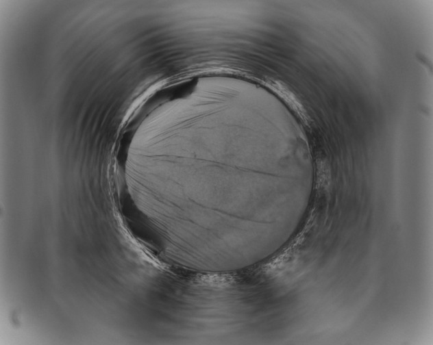 X0000096470806200802211149