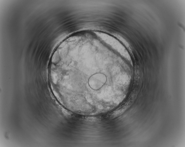 X0000096470807200802211149