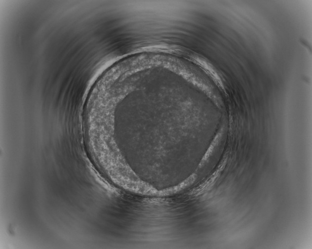 X0000096470808200802211149