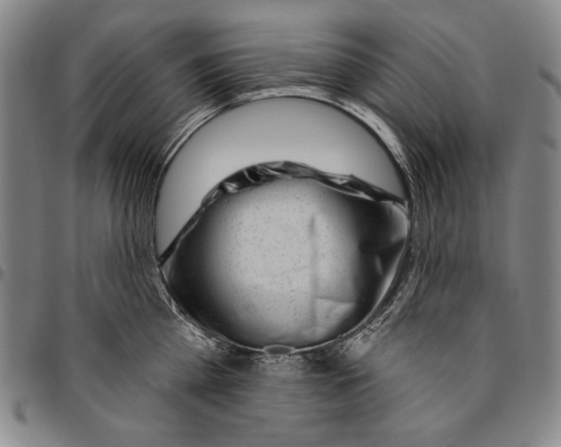 X0000096470809200802211149