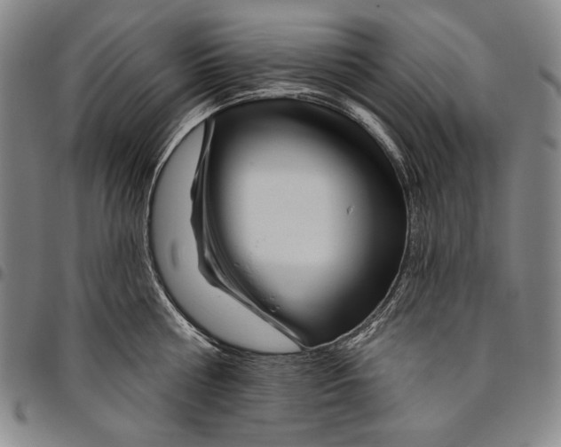 X0000096470810200802211149