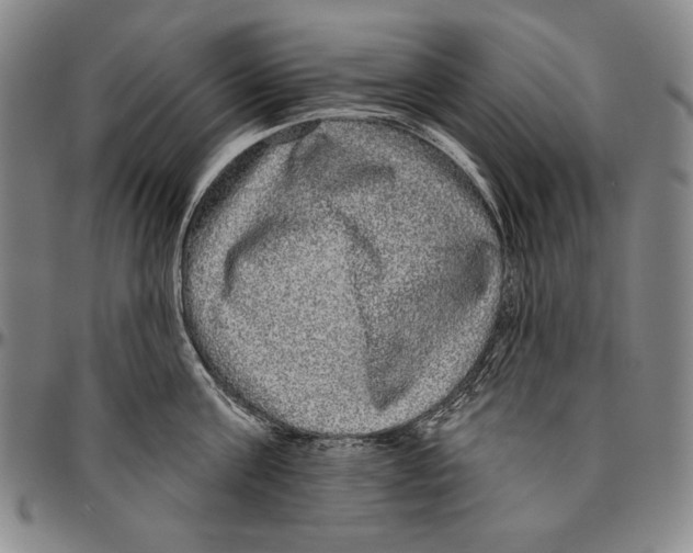 X0000096470811200802211149