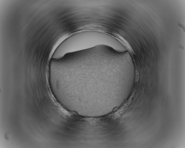 X0000096470812200802211149