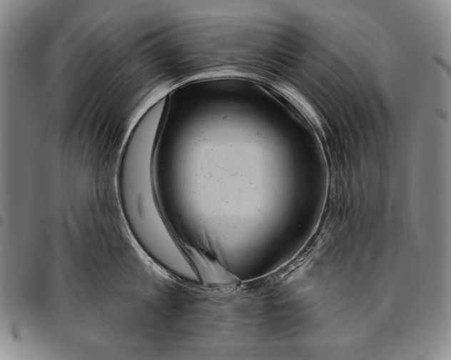 X0000096470813200802211149