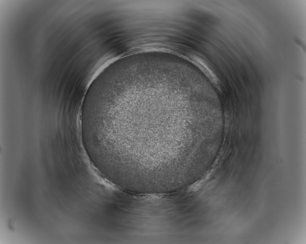 X0000096470814200802211149