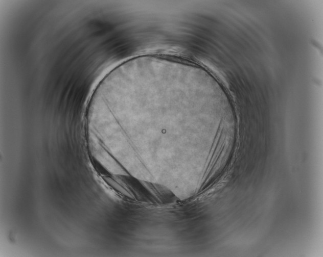 X0000096470816200802211149