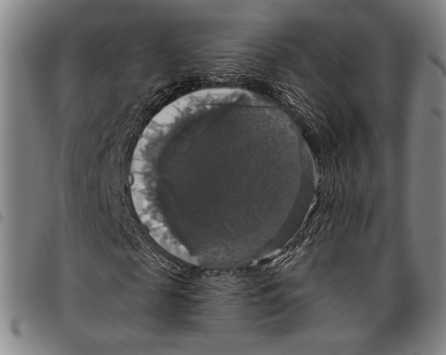 X0000096470817200802211148