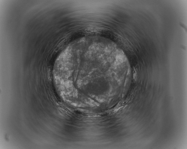 X0000096470819200802211148