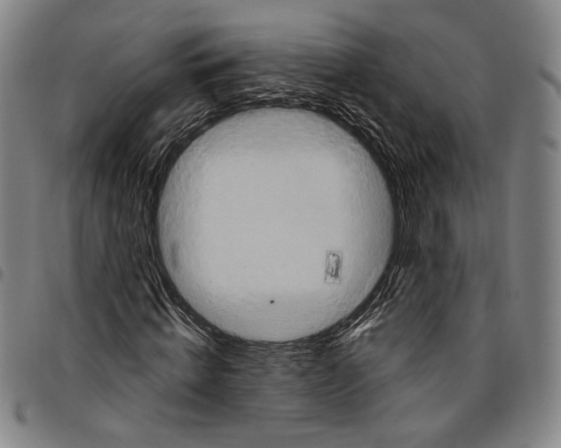 X0000096470820200802211148