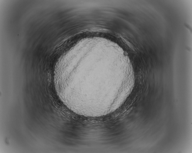 X0000096470821200802211148