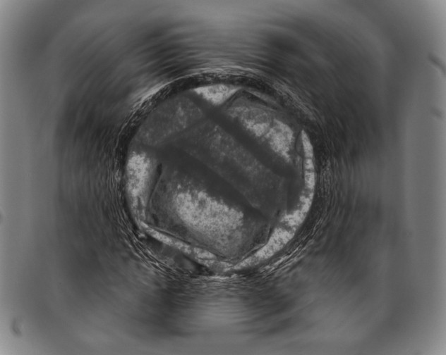 X0000096470822200802211148