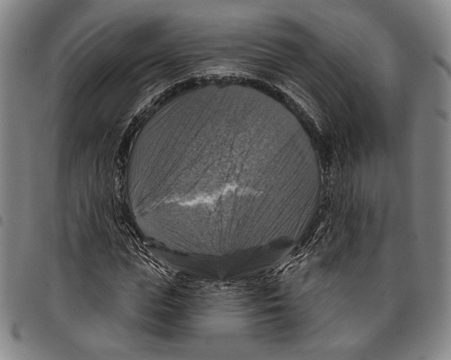 X0000096470823200802211148