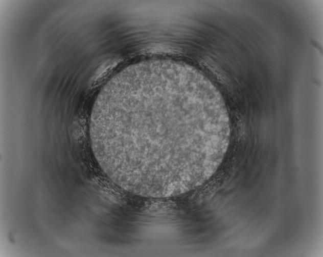 X0000096470824200802211148