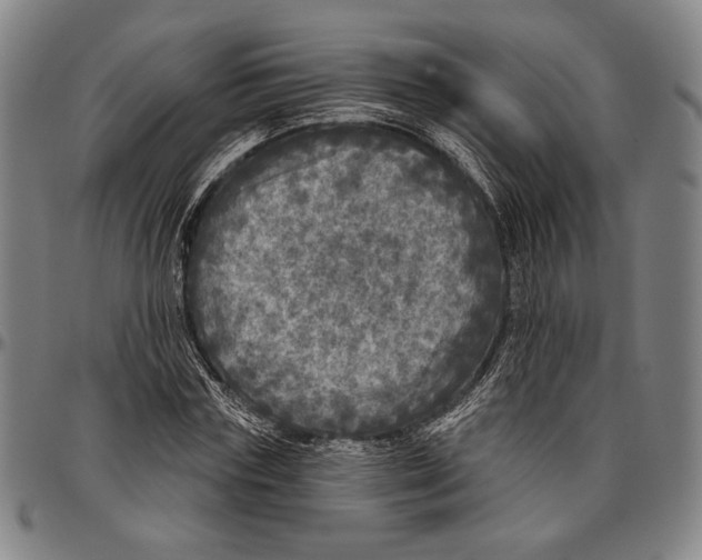 X0000096470827200802211148