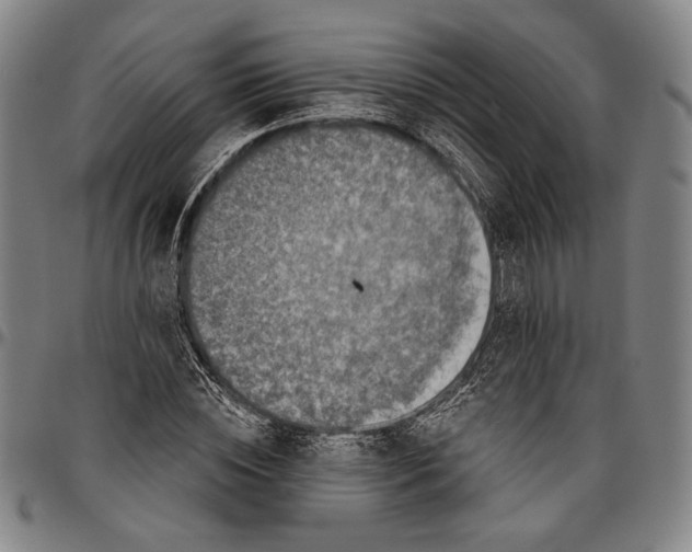 X0000096470828200802211148