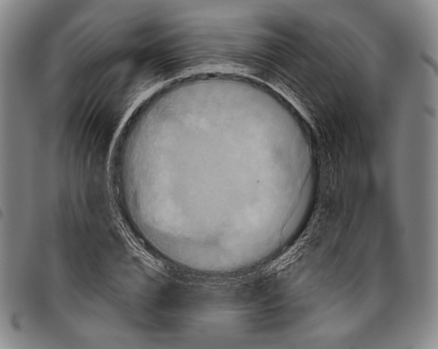 X0000096470832200802211148