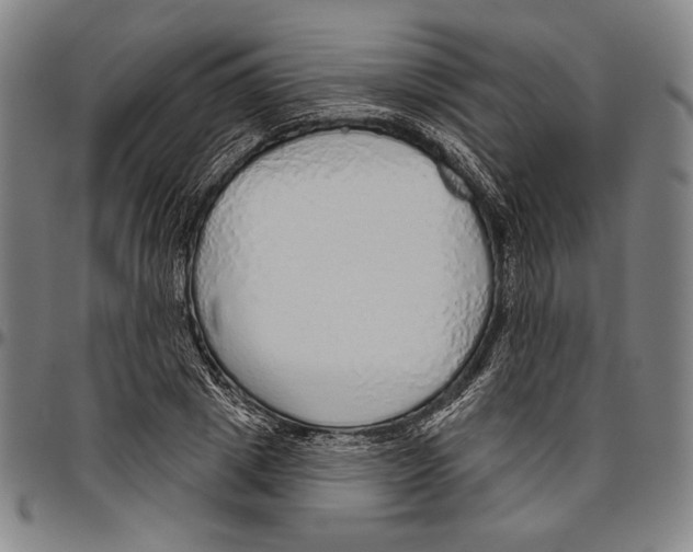 X0000096470833200802211148