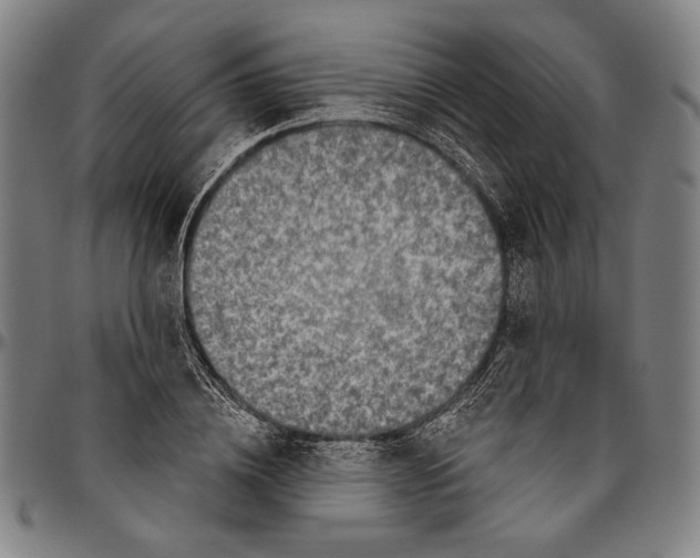 X0000096470836200802211148