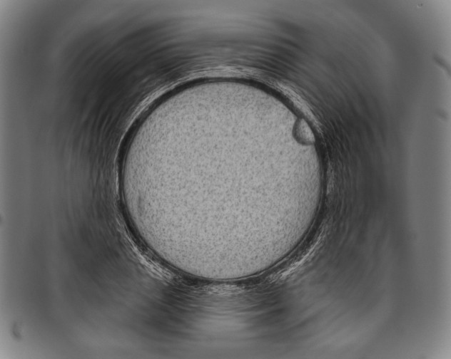 X0000096470837200802211148