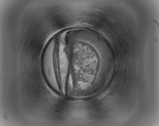 X0000096470838200802211148