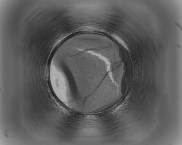 X0000096470839200802211148